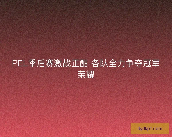 PEL季后赛激战正酣 各队全力争夺冠军荣耀