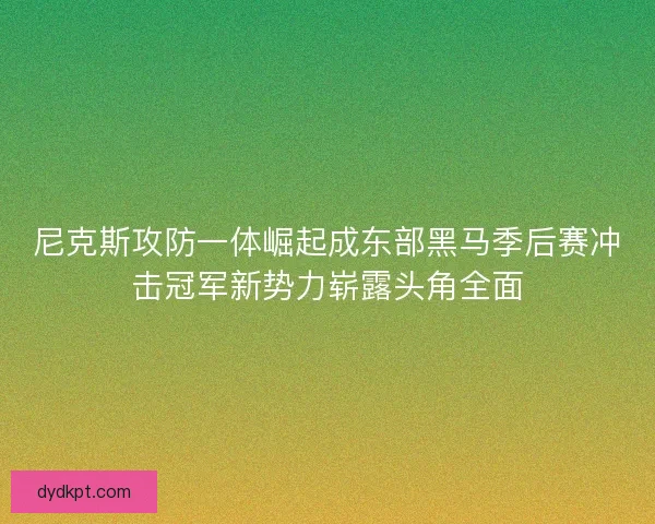 尼克斯攻防一体崛起成东部黑马季后赛冲击冠军新势力崭露头角全面