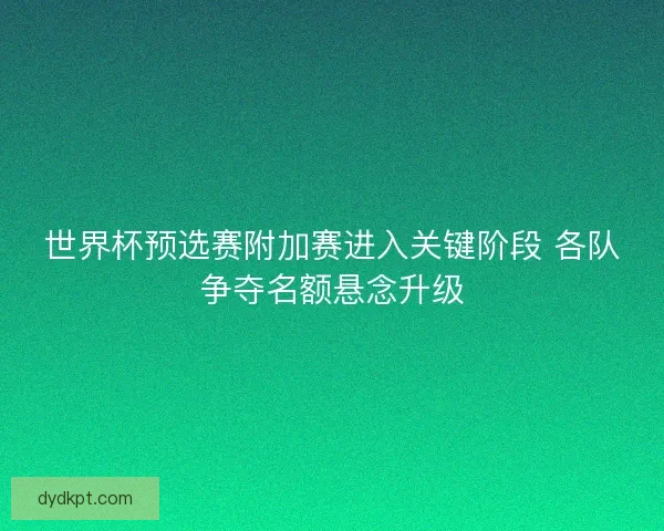 世界杯预选赛附加赛进入关键阶段 各队争夺名额悬念升级